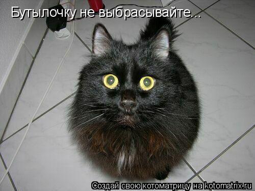 Бутылочку не выбрасывайте...... Котоматрица: Бутылочку не выбрасывайте...