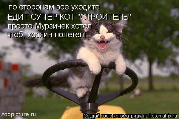 по сторонам все уходите ЕДИТ СУПЕР КОТ "СТРОИТЕЛЬ" просто Мурзичек хотел чтоб, хозяин полетел!... Котоматрица: по сторонам все уходите ЕДИТ СУПЕР КОТ "СТРОИТЕЛЬ" просто Мурзичек хотел чтоб, хозяин полетел!