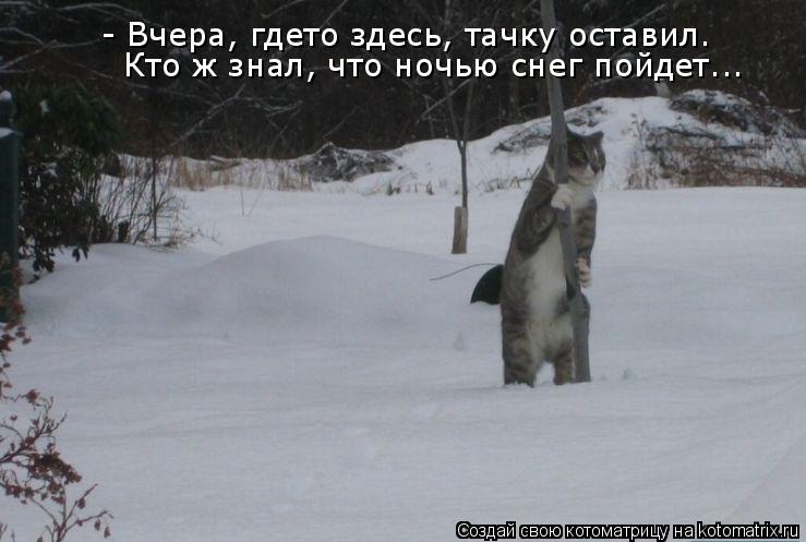 Котоматрица: - Вчера, гдето здесь, тачку оставил. Кто ж знал, что ночью снег пойдет...