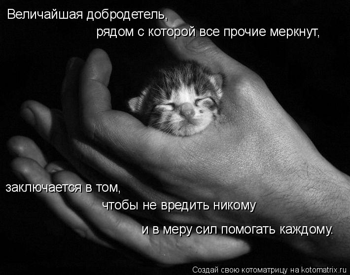 http://kotomatrix.ru/images/lolz/2009/09/09/355062.jpg