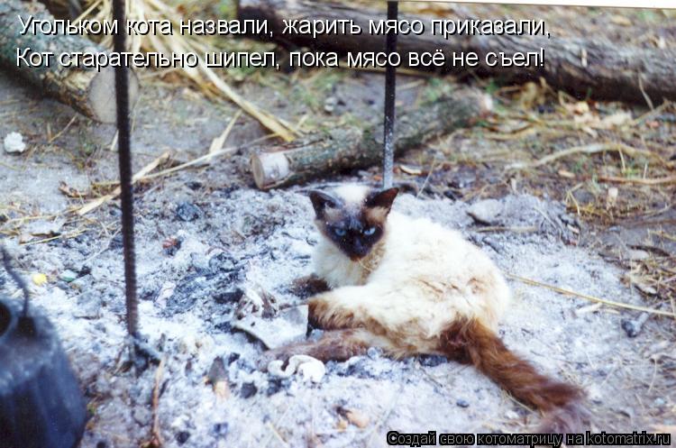 Котоматрица: Угольком кота назвали, жарить мясо приказали, Кот старательно шипел, пока мясо всё не съел!