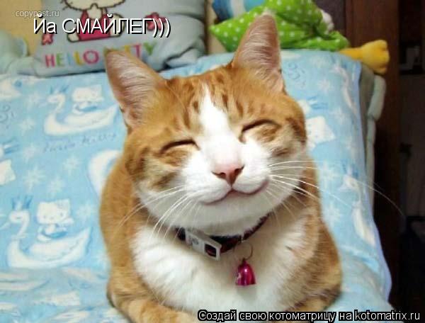 Йа СМАЙЛЕГ)))... Котоматрица: Йа СМАЙЛЕГ)))