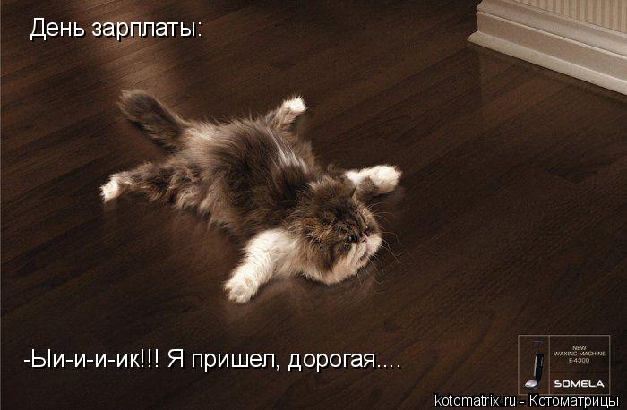 -Ыи-и-и-ик!!! Я пришел, дорогая.... День зарплаты:... Котоматрица: -Ыи-и-и-ик!!! Я пришел, дорогая.... День зарплаты: