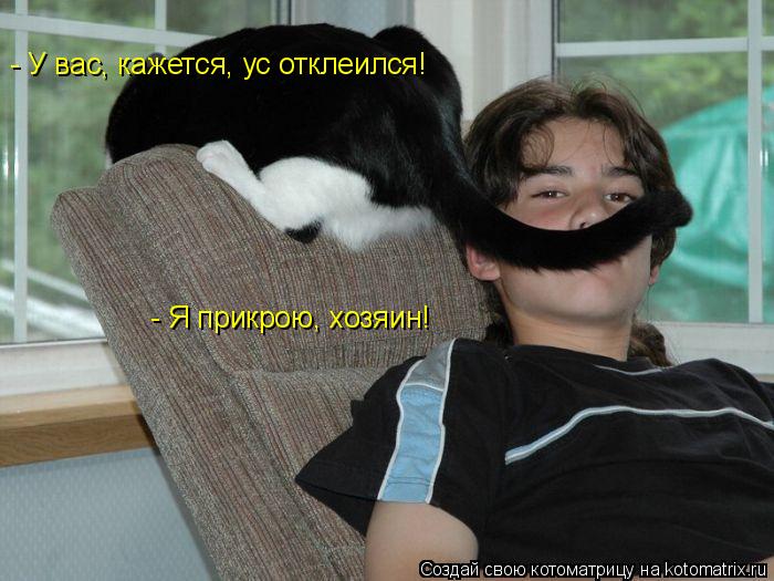 - У вас, кажется, ус отклеился! - Я прикрою, хозяин!... Котоматрица: - У вас, кажется, ус отклеился! - Я прикрою, хозяин!