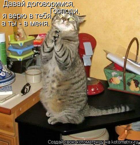 Давай договоримся, Господи, я верю в тебя, а ты - в меня.... Котоматрица: Давай договоримся, Господи, я верю в тебя, а ты - в меня.