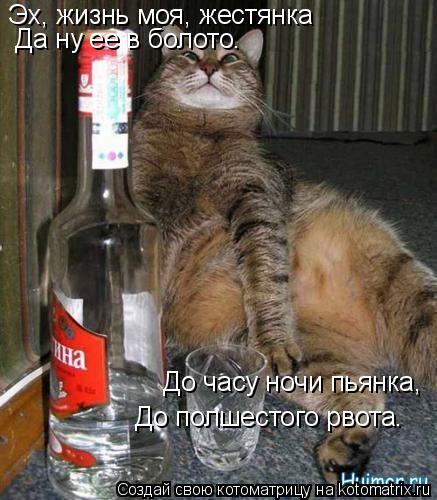 Эх, жизнь моя, жестянка Да ну ее в болото. До часу ночи пьянка, До полшестого рвота.... Котоматрица: Эх, жизнь моя, жестянка Да ну ее в болото. До часу ночи пьянка, До полшестого рвота.