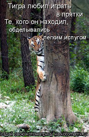 Тигра любил играть в прятки Те, кого он находил, обделывались легким испугом... Котоматрица: Тигра любил играть в прятки Те, кого он находил, обделывались легким испугом