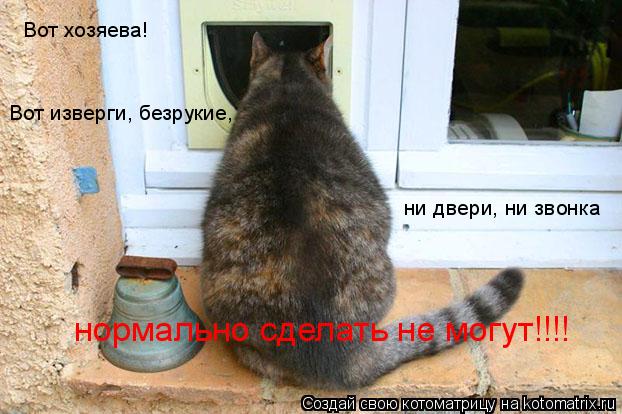 Вот хозяева! ни двери, ни звонка нормально сделать не могут!!!! Вот изверги, безрукие,... Котоматрица: Вот хозяева! ни двери, ни звонка нормально сделать не могут!!!! Вот изверги, безрукие,