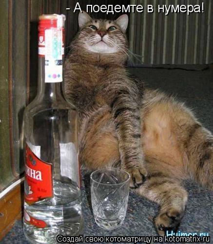 - А поедемте в нумера!... Котоматрица: - А поедемте в нумера!