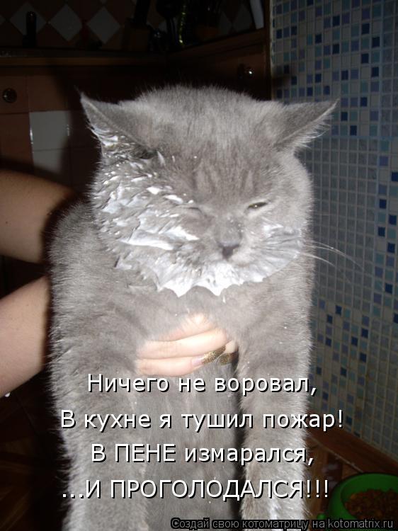 Ничего не воровал, В кухне я тушил пожар! В ПЕНЕ измарался, ...И ПРОГОЛОДАЛСЯ!!!... Котоматрица: Ничего не воровал, В кухне я тушил пожар! В ПЕНЕ измарался, ...И ПРОГОЛОДАЛСЯ!!!