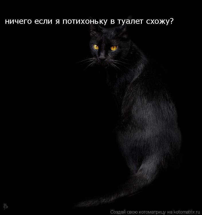 ничего если я потихоньку в туалет схожу?... Котоматрица: ничего если я потихоньку в туалет схожу?