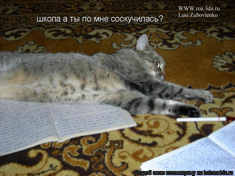 школа а ты по мне соскучилась?... Котоматрица: школа а ты по мне соскучилась?