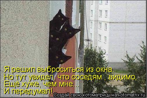 Я решил выброситься из окна. Но тут увидел, что соседям , видимо, Ещё хуже, чем мне... И передумал!... Котоматрица: Я решил выброситься из окна. Но тут увидел, что соседям , видимо, Ещё хуже, чем мне... И передумал!