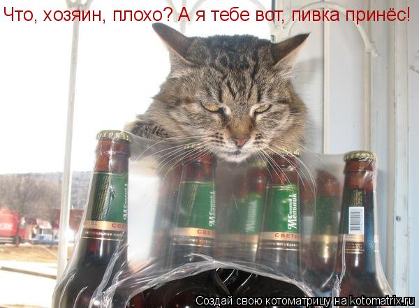 Что, хозяин, плохо? А я тебе вот, пивка принёс!... Котоматрица: Что, хозяин, плохо? А я тебе вот, пивка принёс!