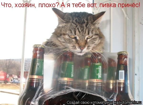 Котоматрица: Что, хозяин, плохо? А я тебе вот, пивка принёс!