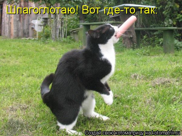 Шпагоглотаю! Вот где-то так:... Котоматрица: Шпагоглотаю! Вот где-то так: