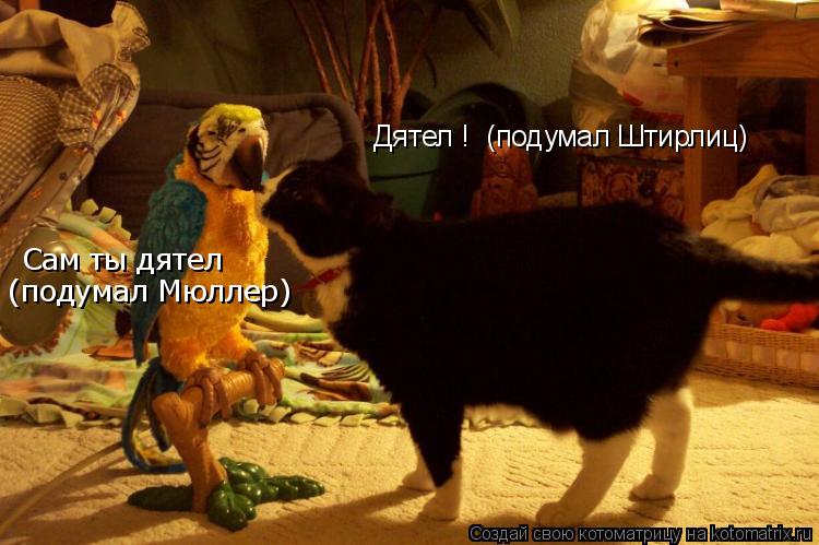 Сам ты дятел (подумал Мюллер) Дятел ! (подумал Штирлиц)... Котоматрица: Сам ты дятел (подумал Мюллер) Дятел ! (подумал Штирлиц)