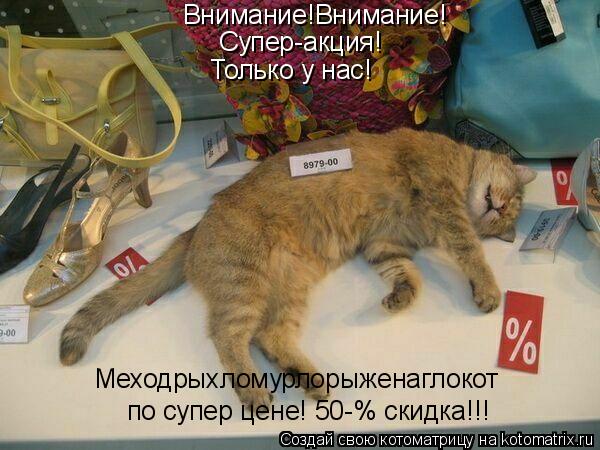 Внимание!Внимание! Супер-акция! Только у нас! по супер цене! 50-% скидка!!! Меходрыхломурлорыженаглок... Котоматрица: Внимание!Внимание! Супер-акция! Только у нас! по супер цене! 50-% скидка!!! Меходрыхломурлорыженаглокот