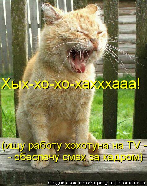 (ищу работу хохотуна на TV - - обеспечу смех за кадром) Хых-хо-хо-хахххааа!... Котоматрица: (ищу работу хохотуна на TV - - обеспечу смех за кадром) Хых-хо-хо-хахххааа!