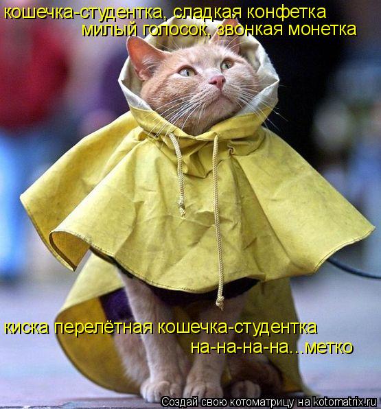 кошечка-студентка, сладкая конфетка милый голосок, звонкая монетка киска перелётная кошечка-студентка... Котоматрица: кошечка-студентка, сладкая конфетка милый голосок, звонкая монетка киска перелётная кошечка-студентка на-на-на-на...метко