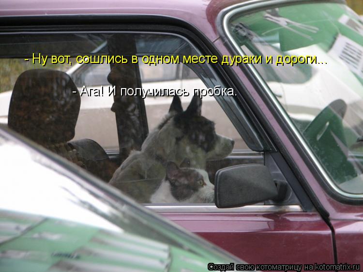 - Ну вот, сошлись в одном месте дураки и дороги... - Ага! И получилась пробка.... Котоматрица: - Ну вот, сошлись в одном месте дураки и дороги... - Ага! И получилась пробка.
