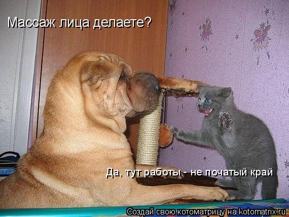 Массаж лица делаете? Да, тут работы - не початый край... Котоматрица: Массаж лица делаете? Да, тут работы - не початый край