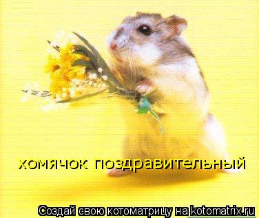 хомячок поздравительный... Котоматрица: хомячок поздравительный