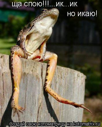 ща спою!!!...ик...ик но икаю!... Котоматрица: ща спою!!!...ик...ик но икаю!