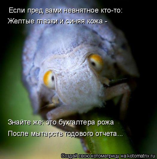 http://kotomatrix.ru/images/lolz/2009/09/10/355648.jpg