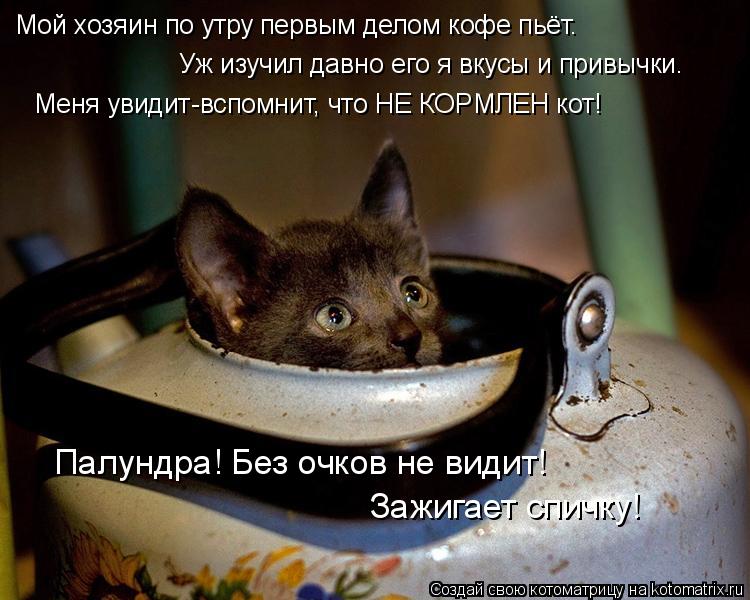 Палундра! Без очков не видит! Зажигает спичку! Мой хозяин по утру первым делом кофе пьёт. Уж изучил д... Котоматрица: Палундра! Без очков не видит! Зажигает спичку! Мой хозяин по утру первым делом кофе пьёт. Уж изучил давно его я вкусы и привычки. Меня увидит-