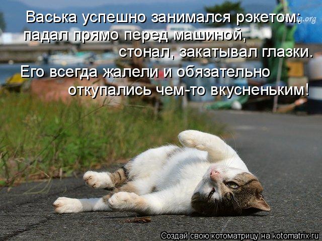Васька успешно занимался рэкетом: падал прямо перед машиной, стонал, закатывал глазки. Его всегда ж... Котоматрица: Васька успешно занимался рэкетом: падал прямо перед машиной, стонал, закатывал глазки. Его всегда жалели и обязательно откупались чем-то в