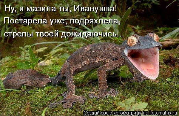 Ну, и мазила ты, Иванушка! Постарела уже, подряхлела, стрелы твоей дожидаючись...... Котоматрица: Ну, и мазила ты, Иванушка! Постарела уже, подряхлела, стрелы твоей дожидаючись...