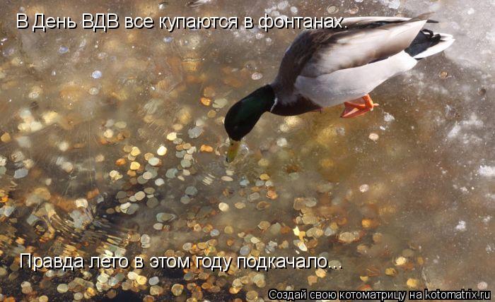 В День ВДВ все купаются в фонтанах. Правда лето в этом году подкачало...... Котоматрица: В День ВДВ все купаются в фонтанах. Правда лето в этом году подкачало...