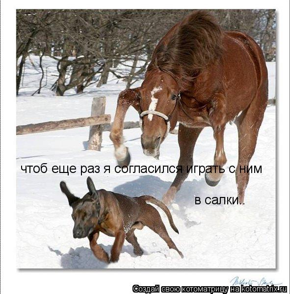 чтоб еще раз я согласился играть с ним в салки..... Котоматрица: чтоб еще раз я согласился играть с ним в салки..