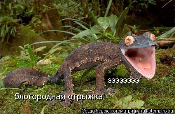 ээээээээ блогородная отрыжка... Котоматрица: ээээээээ блогородная отрыжка