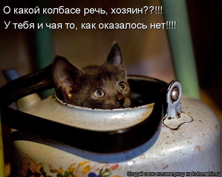 О какой колбасе речь, хозяин??!!! У тебя и чая то, как оказалось нет!!!!... Котоматрица: О какой колбасе речь, хозяин??!!! У тебя и чая то, как оказалось нет!!!!