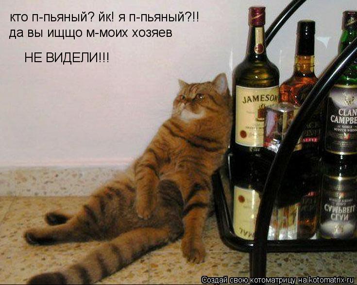 кто п-пьяный? йк! я п-пьяный?!! да вы ищщо м-моих хозяев НЕ ВИДЕЛИ!!!... Котоматрица: кто п-пьяный? йк! я п-пьяный?!! да вы ищщо м-моих хозяев НЕ ВИДЕЛИ!!!