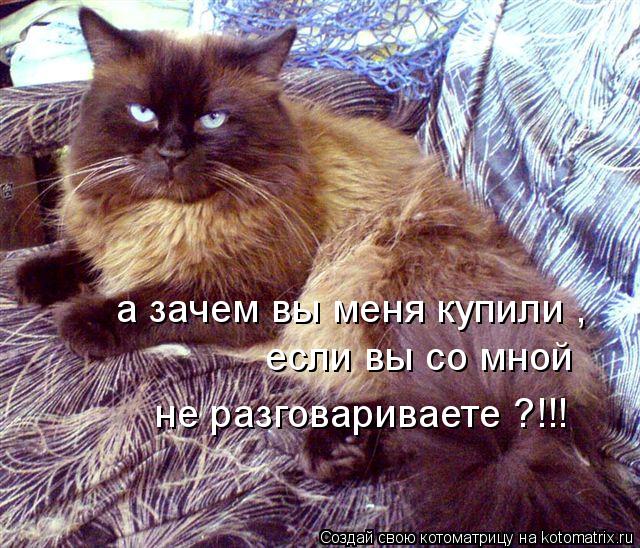 а зачем вы меня купили , если вы со мной не разговариваете ?!!!... Котоматрица: а зачем вы меня купили , если вы со мной не разговариваете ?!!!