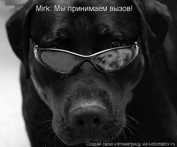 Mirk: Мы принимаем вызов!... Котоматрица: Mirk: Мы принимаем вызов!