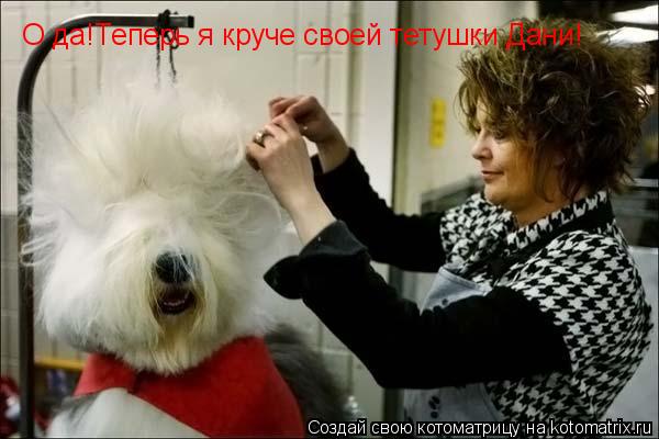 О да!Теперь я круче своей тетушки Дани!... Котоматрица: О да!Теперь я круче своей тетушки Дани!