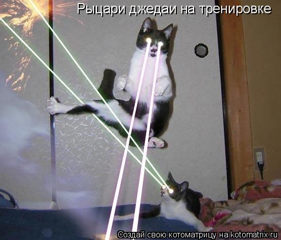 Рыцари джедаи на тренировке... Котоматрица: Рыцари джедаи на тренировке