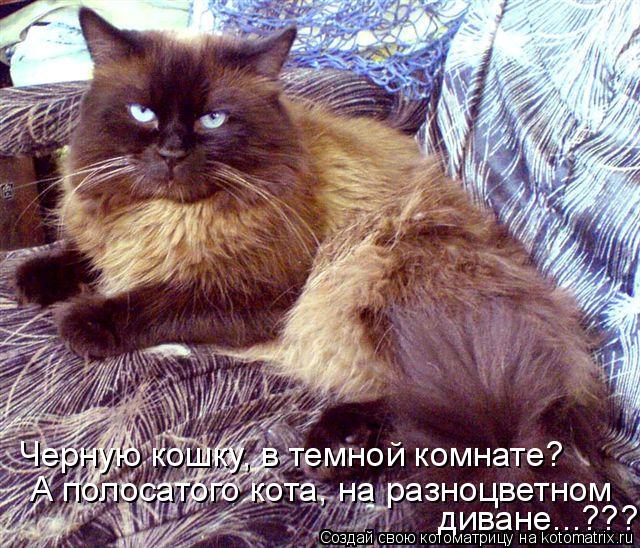 Котоматрица: Черную кошку, в темной комнате? А полосатого кота, на разноцветном диване...???
