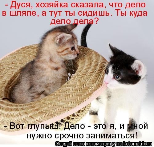 - Дуся, хозяйка сказала, что дело в шляпе, а тут ты сидишь. Ты куда дело дела? - Вот глупыш! Дело - ... Котоматрица: - Дуся, хозяйка сказала, что дело в шляпе, а тут ты сидишь. Ты куда дело дела? - Вот глупыш! Дело - это я, и мной нужно срочно заниматься!