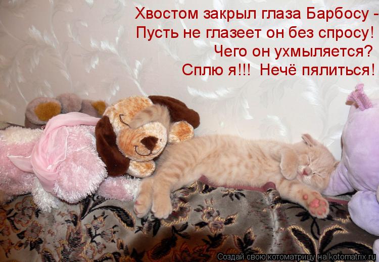 Хвостом закрыл глаза Барбосу - Пусть не глазеет он без спросу! Чего он ухмыляется? Сплю я!!! Нечё пя... Котоматрица: Хвостом закрыл глаза Барбосу - Пусть не глазеет он без спросу! Чего он ухмыляется? Сплю я!!! Нечё пялиться!