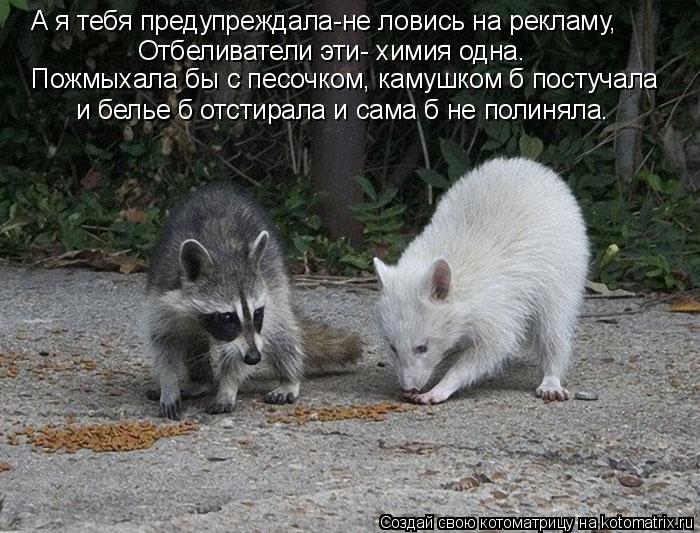 А я тебя предупреждала-не ловись на рекламу, Отбеливатели эти- химия одна. Пожмыхала бы с песочком, к... Котоматрица: А я тебя предупреждала-не ловись на рекламу, Отбеливатели эти- химия одна. Пожмыхала бы с песочком, камушком б постучала и белье б отстирала