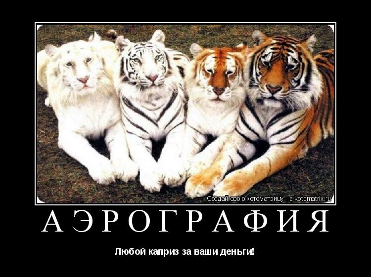 Аэрография Любой каприз за ваши деньги!... Котоматрица: Аэрография Любой каприз за ваши деньги!