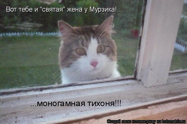 Вот тебе и "святая" жена у Мурзика!... ...моногамная тихоня!!!... Котоматрица: Вот тебе и "святая" жена у Мурзика!... ...моногамная тихоня!!!