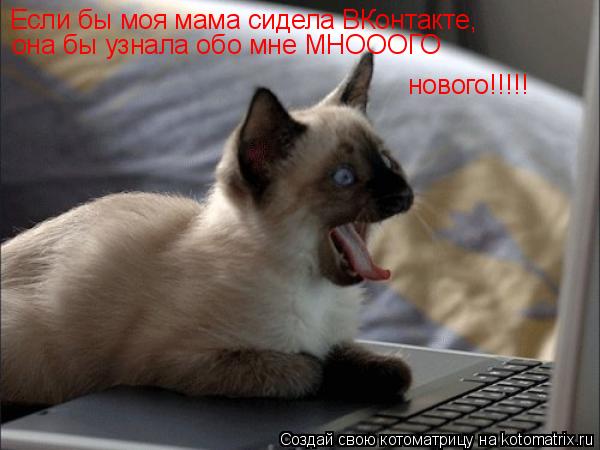 Если бы моя мама сидела ВКонтакте, она бы узнала обо мне МНОООГО нового!!!!!... Котоматрица: Если бы моя мама сидела ВКонтакте, она бы узнала обо мне МНОООГО нового!!!!!