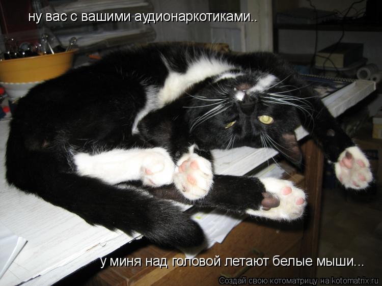 ну вас с вашими аудионаркотиками.. у миня над головой летают белые мыши...... Котоматрица: ну вас с вашими аудионаркотиками.. у миня над головой летают белые мыши...