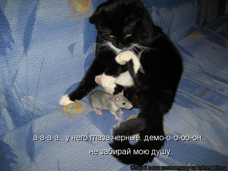 а-а-а-а...у него глаза черные..демо-о-о-оо-он.. не забирай мою душу..... Котоматрица: а-а-а-а...у него глаза черные..демо-о-о-оо-он.. не забирай мою душу..